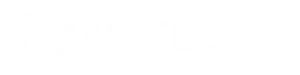 Ntt data