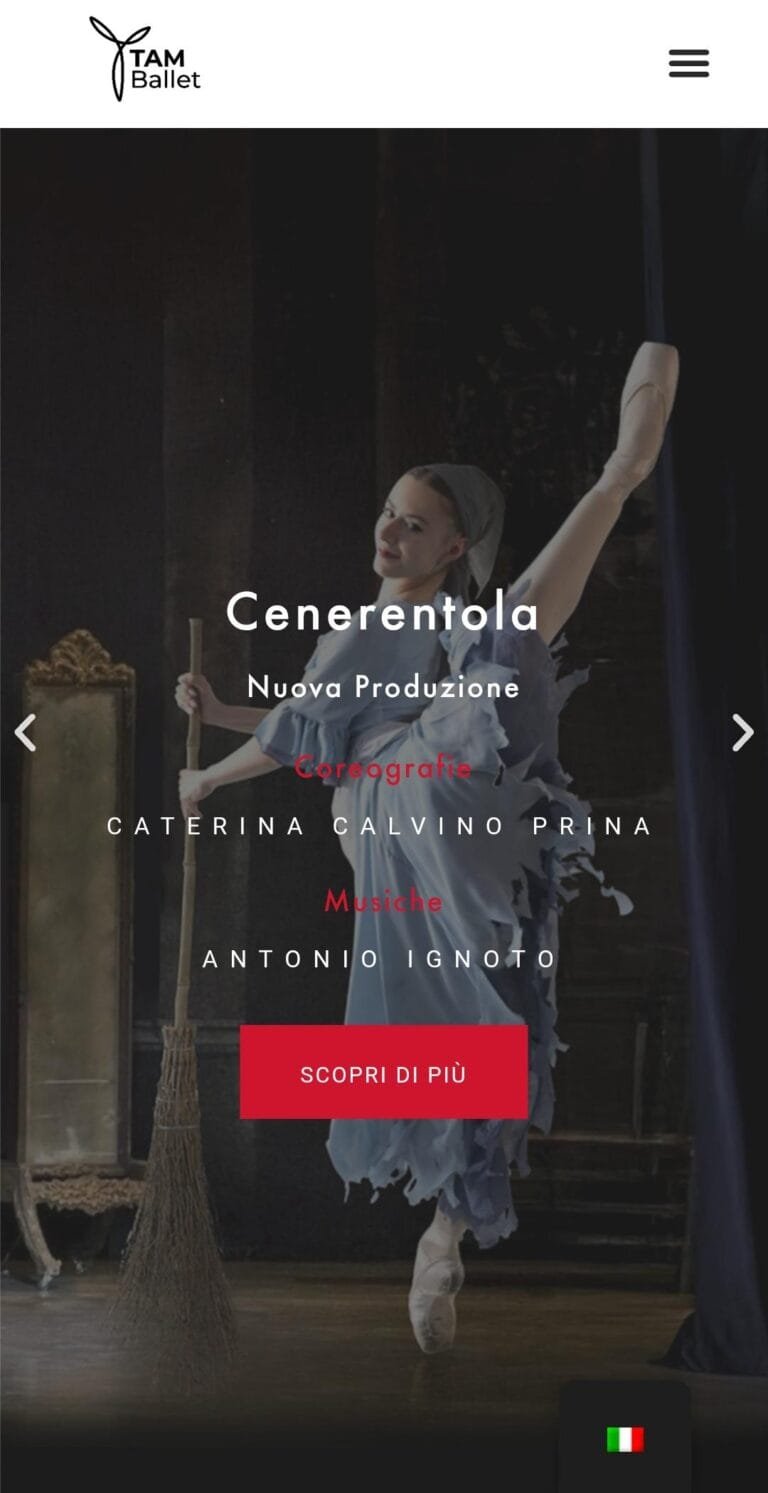 caso studio: tam ballet company homepage